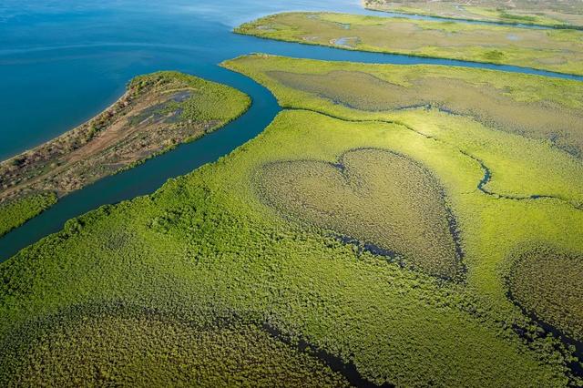 数学老师表白有笛卡尔曲线，地理老师有什么？