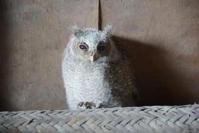 邻居全搬走了,浙江一家人30年来却守着一栋黄泥房,有什么秘密?