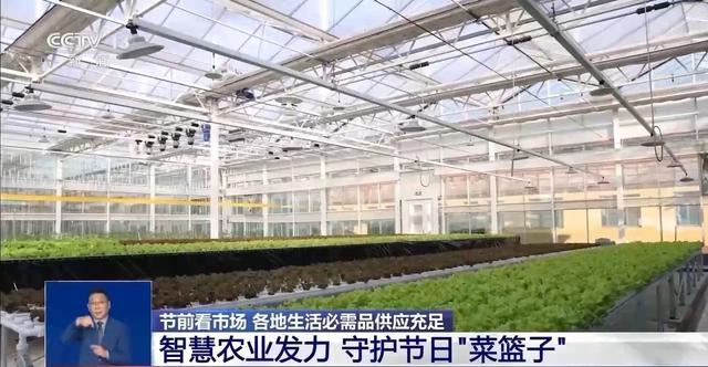 市场迎来消费高峰 “米袋子”“菜篮子”满满当当