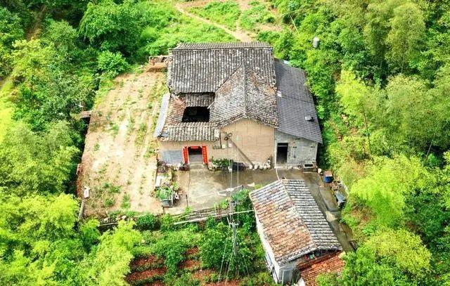 邻居全搬走了,浙江一家人30年来却守着一栋黄泥房,有什么秘密?