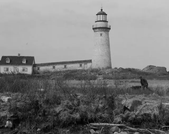 真实事件改编，今年最邪的恐怖片