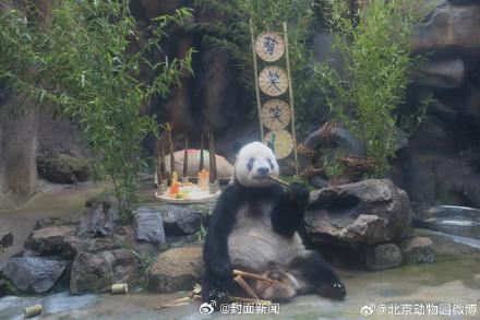 生日快乐！萌大萌二两兄弟10岁了