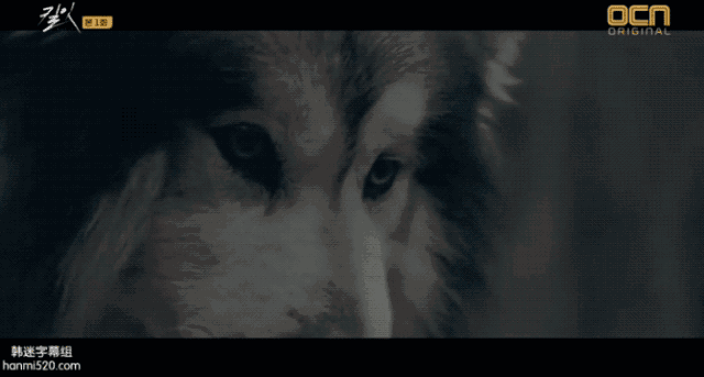 《城市猎人》8年后，终于又看到一部男女主双A且颜值爆表的韩剧！