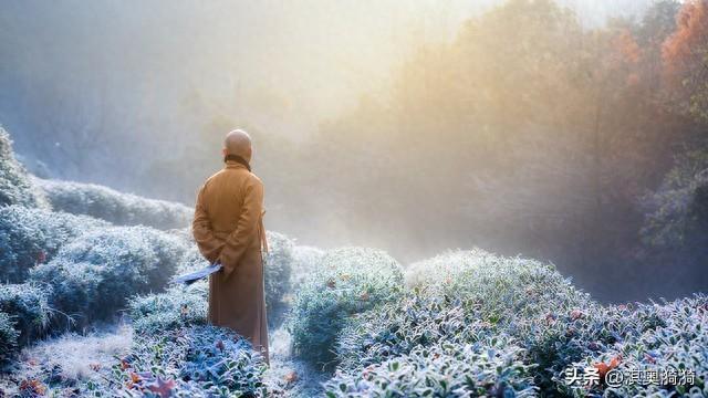 一饮一啄，莫非前定；世间万事，皆有来因；你是吉人，自有天相