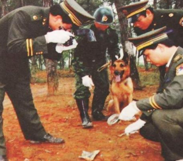 “贼王”刘农军：读警校被开除，钻研2年文物，一夜盗走6亿国宝