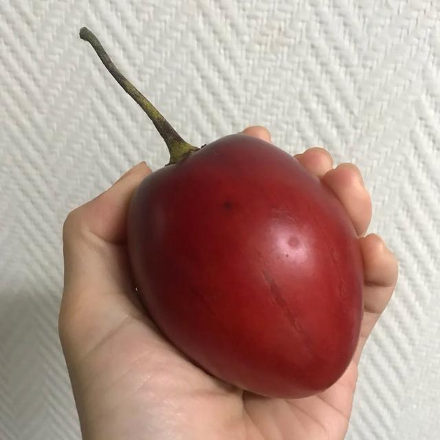 好吃又好看，但愣是叫不出名字的“水果们”