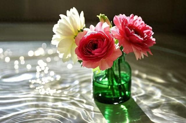 沉默的代价：那些被咽回去的话如何杀死你的人生可能性