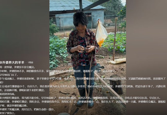 湖南女孩被誉为抖音“余华”，文笔细腻回忆童年，外婆是唯一女主