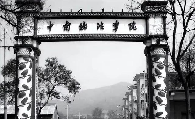 王传福：15岁成孤儿，靠嫂子卖嫁妆读书，成总裁后把嫂子宠成公主