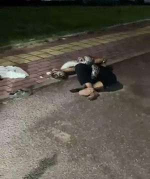 巨蟒2(广东一男子被2米长巨蟒死死缠住，警方：男子救出后自行回家，蟒蛇已放生)