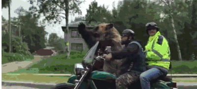 战斗民族又一神剧来了！