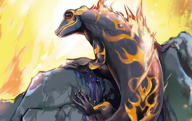 《宝可梦》来源与生态:小火龙来自美丽的传说,还是悲凉的现实?