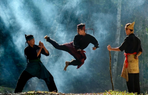 马来西亚“武术”被列为人类非物质文化遗产