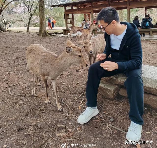 前央视主持人顾国宁去世，知情人曝他患癌，多位同事校友发文哀悼