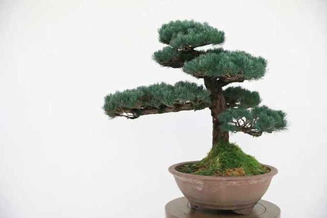 崇文馆开馆!艺术大师齐聚杭州这所学校,助力孩子们成就艺术之梦