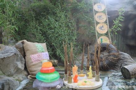 生日快乐！萌大萌二两兄弟10岁了