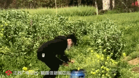 三名男子自从炸过一次粪坑后上瘾,从此一发不可收拾,还录下来日后“欣赏”