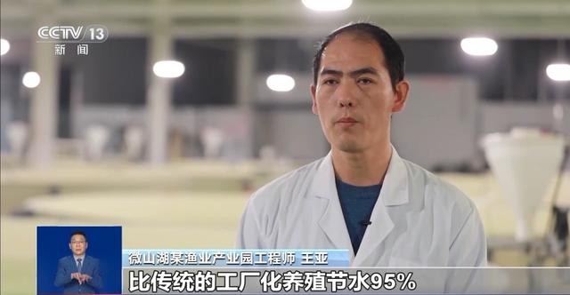 市场迎来消费高峰 “米袋子”“菜篮子”满满当当