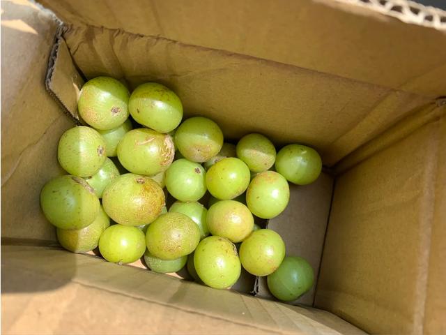 好吃又好看，但愣是叫不出名字的“水果们”