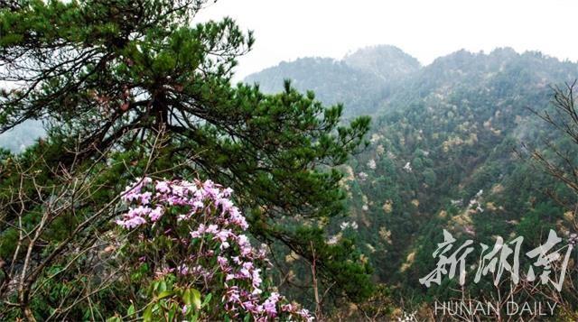 雪峰山脉，春意盎然，好看好吃更好玩！