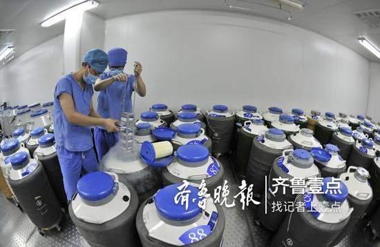 山东一医院存13万枚冷冻胚胎4成“无主”：最长已20年