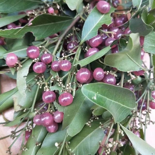 好吃又好看，但愣是叫不出名字的“水果们”