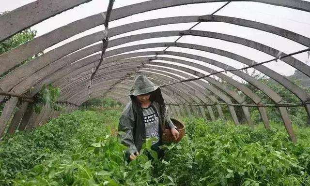 农业气象:南方降雨无止无休,到底要下到何时?气象专家给了答案