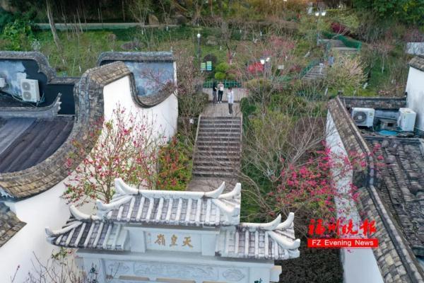 太美了！福州这里“繁花”盛开