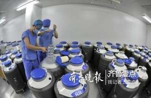 孙梅(山东一医院存13万枚冷冻胚胎4成“无主”：最长已20年)