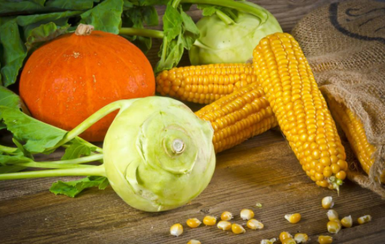 别去找了，书香里的“秋天”才是最美的