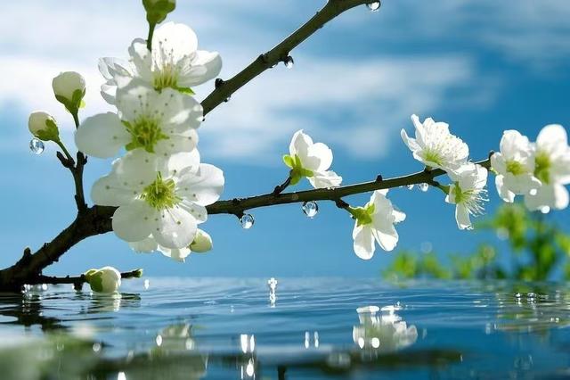 沉默的代价：那些被咽回去的话如何杀死你的人生可能性