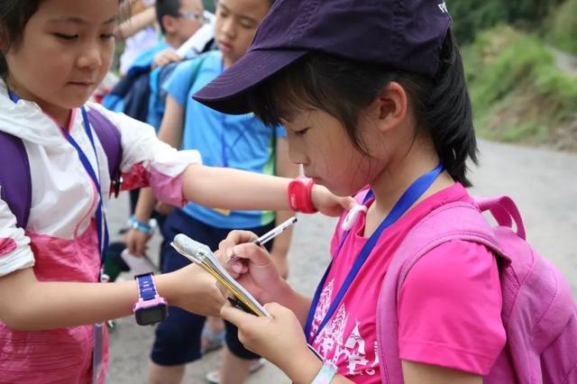 暑期“萤之光”科考营,大学教授带你赏漫天萤火,观浩瀚星空