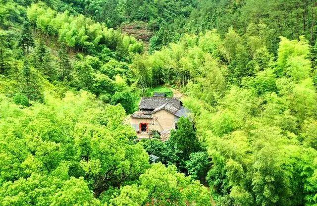 邻居全搬走了,浙江一家人30年来却守着一栋黄泥房,有什么秘密?