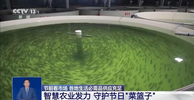 市场迎来消费高峰 “米袋子”“菜篮子”满满当当