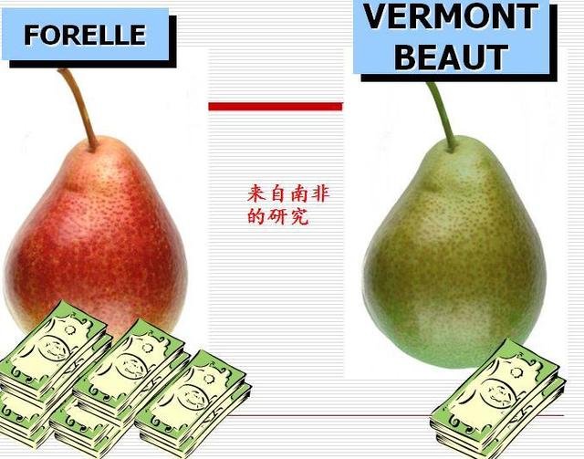 苹果梨是苹果还是梨？浙大教授的回答让大家惊呆了