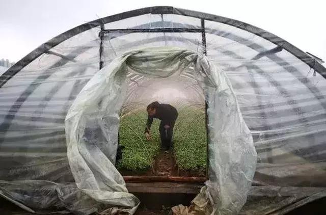 农业气象:南方降雨无止无休,到底要下到何时?气象专家给了答案