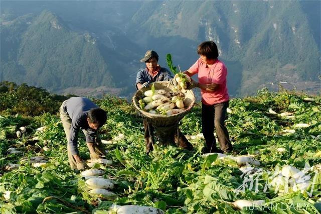 雪峰山脉，春意盎然，好看好吃更好玩！