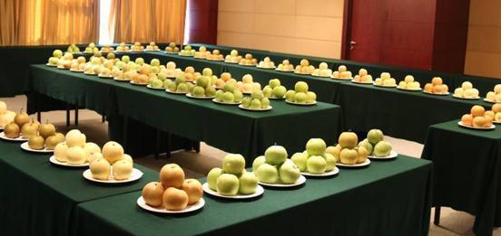 苹果梨是苹果还是梨？浙大教授的回答让大家惊呆了