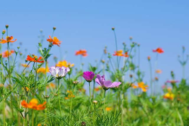 老公想和你过一辈子，很爱你，会有一个表现