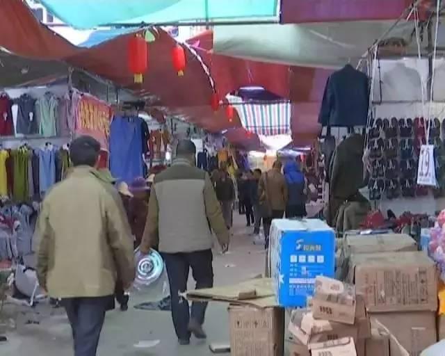 「今日宾川」赶会啦！瞧瞧今年牛井交流会到底咋个赶？