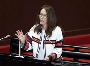 金素梅(遭恶意指控，高金素梅回呛柯建铭：年纪大了是不是)