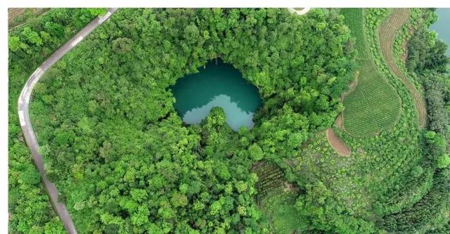 数学老师表白有笛卡尔曲线，地理老师有什么？