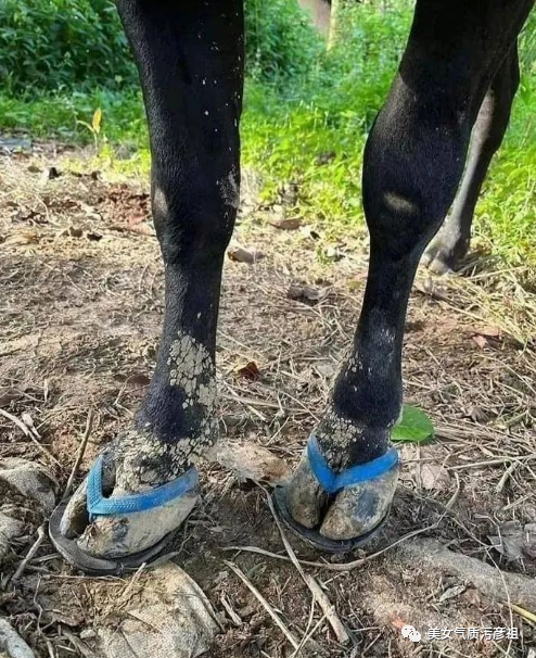 大学四年女同学成长的也太快了