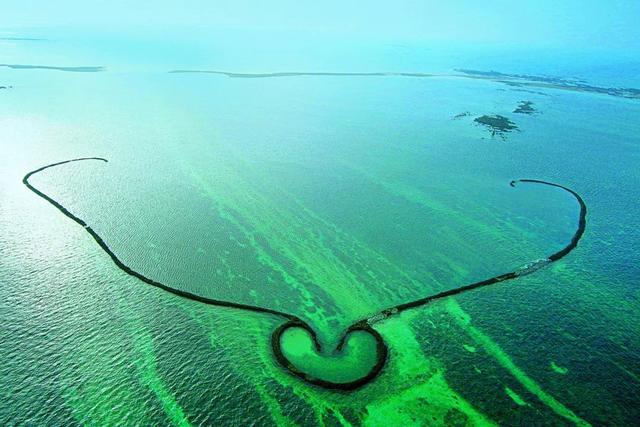 数学老师表白有笛卡尔曲线，地理老师有什么？