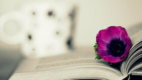 别去找了，书香里的“秋天”才是最美的