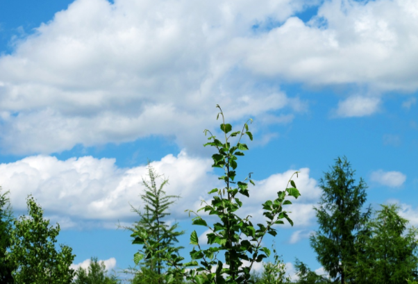 别去找了，书香里的“秋天”才是最美的