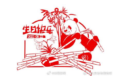 生日快乐！萌大萌二两兄弟10岁了