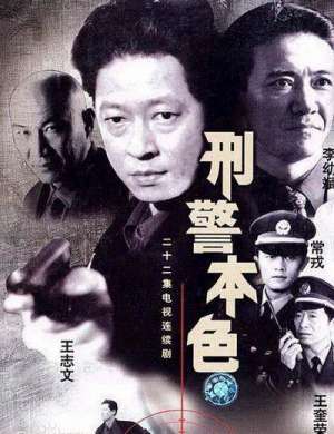 李晨电视剧(李幼斌和王志文主演的刑警本色，还有李晨段奕宏)