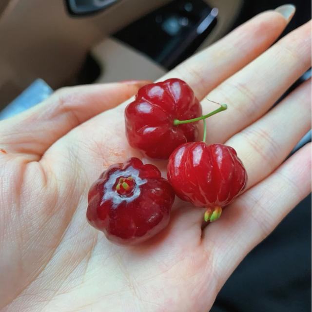 好吃又好看，但愣是叫不出名字的“水果们”