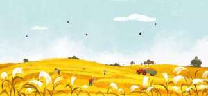 素练(夜话丨金气秋分，风清露冷秋期半，情真心暖锦衣添)